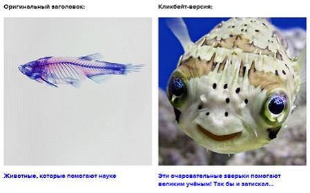 Что такое кликбейт и как он прижился в инет-пространстве