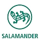 Salamander Həzi Aslanov m.