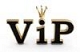 VIP Translation Center