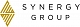 Synergy Group